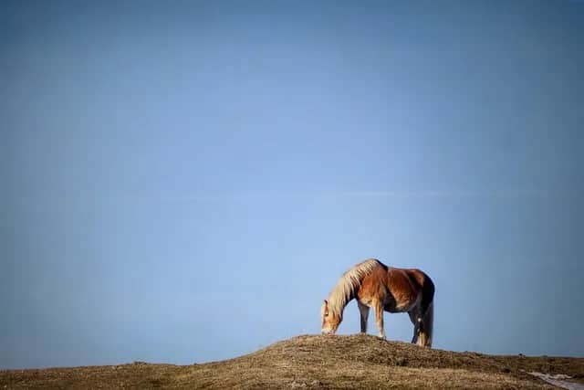 Gdzie wlać płyn do sprzęgła? Sprawdź, aby uniknąć problemów z autem Gdzie wlać płyn do sprzęgła? Sprawdź, aby uniknąć problemów z autem